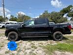 New 2025 Ford F-150 XLT SuperCrew Cab 4x4 Pickup for sale #SFB25340 - photo 6
