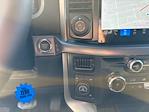 New 2025 Ford F-150 XLT SuperCrew Cab 4WD Pickup for sale #SFB90133 - photo 19