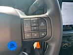 2025 Ford F-150 SuperCrew Cab 4x2 Pickup for sale #SKD05490 - photo 19