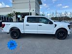 New 2025 Ford F-150 STX SuperCrew Cab 4x4 Pickup for sale #SKD05971 - photo 3