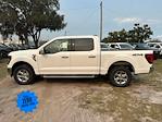 2025 Ford F-150 SuperCrew Cab 4x4 Pickup for sale #SKD31495 - photo 6