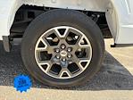 New 2025 Ford F-150 STX SuperCrew Cab 4x4 Pickup for sale #SKE26287 - photo 25