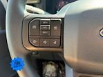 2025 Ford F-150 SuperCrew Cab 4x4 Pickup for sale #SKE73542 - photo 20