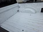 New 2025 Ford F-150 STX SuperCrew Cab 4WD Pickup for sale #SKE74422 - photo 24