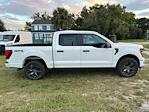 New 2025 Ford F-150 STX SuperCrew Cab 4WD Pickup for sale #SKF41643 - photo 3