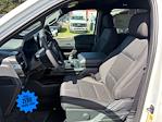 New 2025 Ford F-150 STX SuperCrew Cab 4WD Pickup for sale #SKF43265 - photo 3