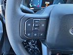 2025 Ford F-150 SuperCrew Cab RWD Pickup for sale #SKF52328 - photo 20