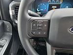 2025 Ford F-150 SuperCrew Cab RWD Pickup for sale #SKF52332 - photo 20