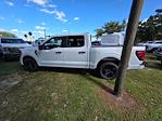 New 2025 Ford F-150 STX SuperCrew Cab Pickup for sale #SKF52375 - photo 6