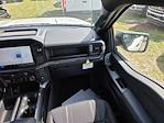 New 2025 Ford F-150 STX SuperCrew Cab Pickup for sale #SKF52514 - photo 13