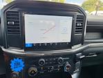 New 2025 Ford F-150 STX SuperCrew Cab 4WD Pickup for sale #SKF63258 - photo 15