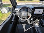 New 2025 Ford F-150 STX SuperCrew Cab for sale #SKF67403 - photo 12