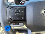 2026 Ford F-350 Crew Cab DRW 4x4 Cab Chassis for sale #TEC42600 - photo 19