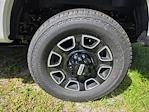 New 2026 Ford F-250 Platinum Crew Cab for sale #TEC95523 - photo 26