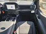 New 2026 Ford F-150 STX SuperCrew Cab for sale #TKD11626 - photo 13
