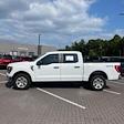 2023 Ford F-150 SuperCrew Cab 4WD Pickup for sale #A242 - photo 4