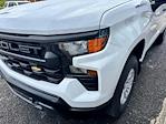 2025 Chevrolet Silverado 1500 Regular Cab 4WD Pickup for sale #C25249 - photo 12