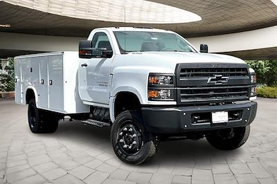 2024 Chevrolet Silverado 5500 Regular Cab DRW 4x4 Cab Chassis for sale #24685 - photo 2
