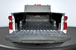 Used 2024 Chevrolet Silverado 1500 Work Truck Regular Cab for sale #26091A - photo 5