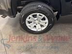 2021 Chevrolet Colorado Crew Cab 4x4 Pickup for sale #51300P - photo 11