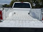 2023 Ford F-150 SuperCrew Cab RWD Pickup for sale #51444P - photo 10