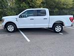 2023 Ford F-150 SuperCrew Cab RWD Pickup for sale #51444P - photo 3