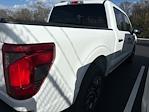 2024 Ford F-150 SuperCrew Cab 4x2 Pickup for sale #522606 - photo 3