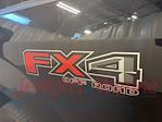 2017 Ford F-150 SuperCrew Cab 4x4 Pickup for sale #522886B - photo 15