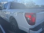 2025 Ford F-150 SuperCrew Cab 4x4 Pickup for sale #522981 - photo 2