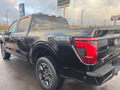 2025 Ford F-150 SuperCrew Cab 4x4 Pickup for sale #523045 - photo 2