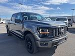 2025 Ford F-150 SuperCrew Cab 4x4 Pickup for sale #523082 - photo 3