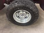 2025 Ford F-350 Crew Cab DRW 4x4 Pickup for sale #523232B - photo 11