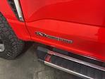 2025 Ford F-350 Crew Cab DRW 4x4 Pickup for sale #523232B - photo 14