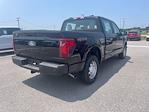 New 2025 Ford F-150 XL SuperCrew Cab for sale #523332 - photo 3