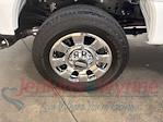 2024 Ford F-350 Crew Cab SRW 4x4 Pickup for sale #523338A - photo 10