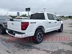 2025 Ford F-150 SuperCrew Cab 4x4 Pickup for sale #523579 - photo 3