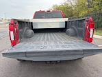 2022 Ford F-450 Crew Cab DRW 4WD Pickup for sale #523964H - photo 10