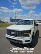 New 2025 Ford F-150 STX Super Cab for sale #524042 - photo 1