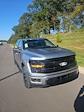 New 2025 Ford F-150 XLT SuperCrew Cab for sale #524148 - photo 3