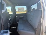New 2026 Ford F-150 XLT SuperCrew Cab for sale #524756 - photo 12