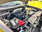 2014 Ford F-150 SuperCrew Cab 4x4 Pickup for sale #11962 - photo 12