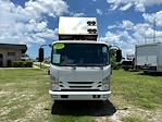 2019 Isuzu NRR Crew Cab 4x2 Landscape Dump for sale #12009 - photo 3