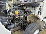 2020 Hino 268A Single Cab DRW 4x2 Landscape Dump for sale #12030 - photo 19