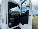 2020 Hino 268A Single Cab DRW 4x2 Landscape Dump for sale #12030 - photo 28