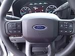 2024 Ford F-250 Regular Cab 4WD Pickup for sale #24-184 - photo 18
