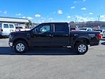 2025 Ford F-150 SuperCrew Cab 4WD Pickup for sale #25-377 - photo 2
