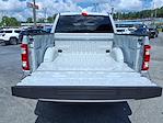2023 Ford F-150 SuperCrew Cab 4WD Pickup for sale #25221B - photo 14