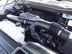 2023 Ford F-150 SuperCrew Cab 4WD Pickup for sale #F6177 - photo 12