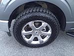 2021 Ford F-150 SuperCrew Cab 4WD Pickup for sale #F6198A - photo 12