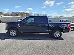 2023 Ford F-150 SuperCrew Cab 4WD Pickup for sale #F6351 - photo 3